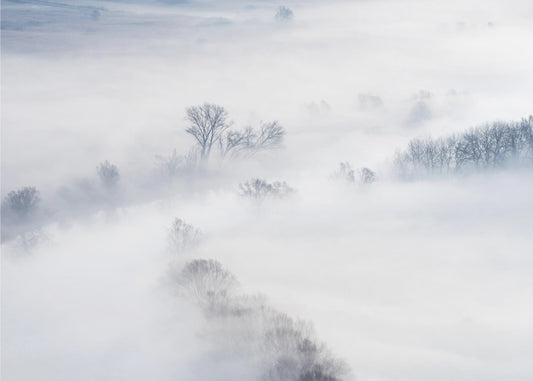Vinter | Tapeter