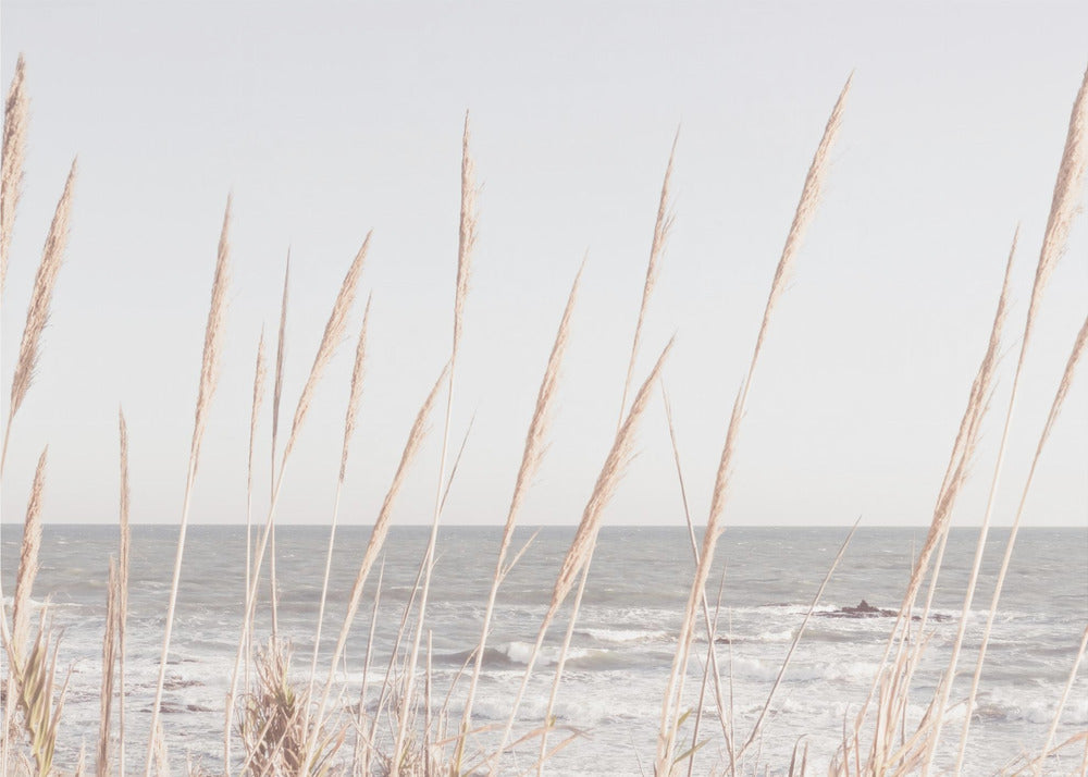 Beach_Vass_002 | Stampe su Tela