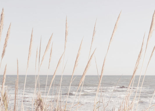 Beach_Vass_002 | Canvas