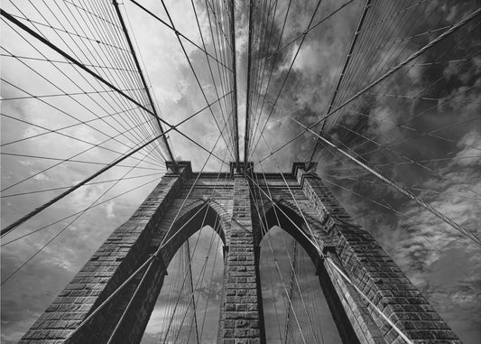 Brooklyn | Tapeter