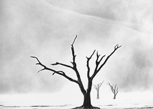 Namibia: Villmarkens ånd | Lerretsbilder