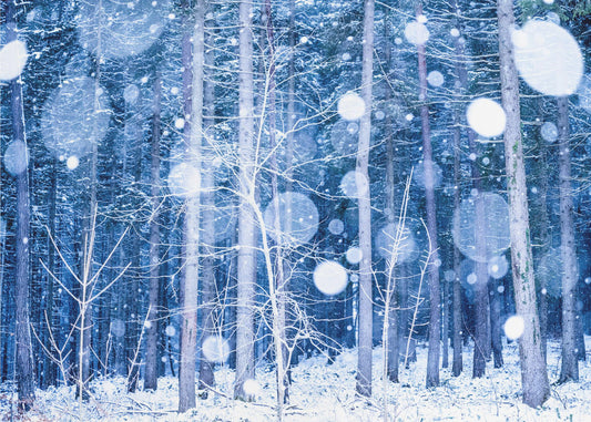 Snölandskap | Tapeter