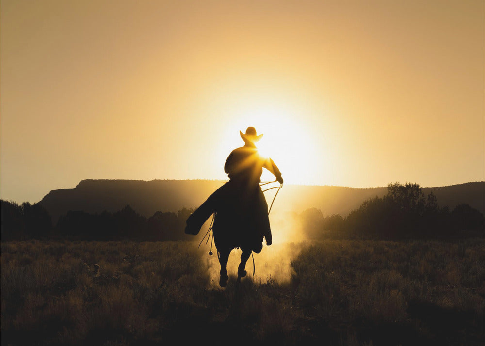 The Cowboy | Canvas