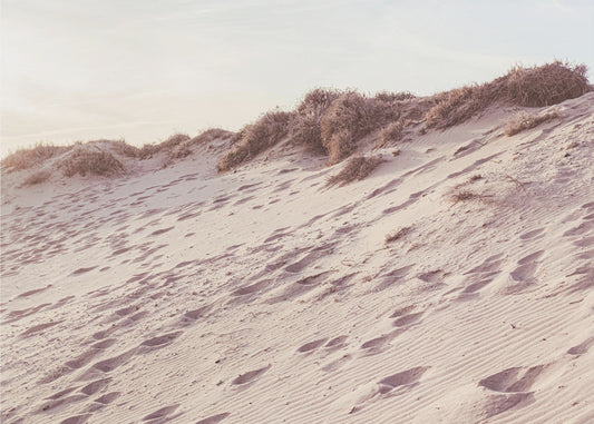 Strand_009 | Tapet