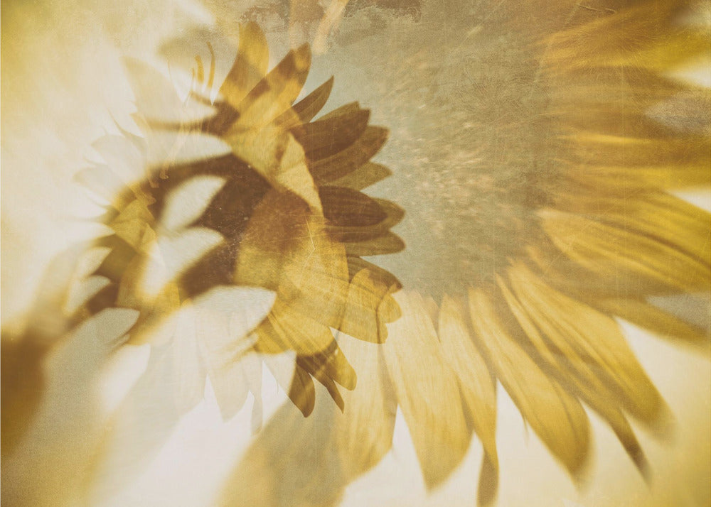 Precis som solen | Tapet