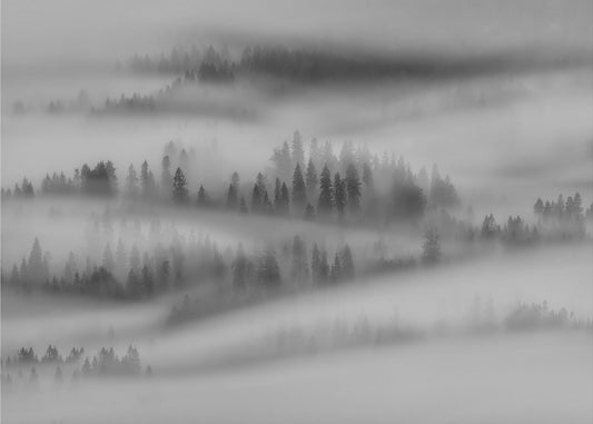 Höstintryck | Tapeter
