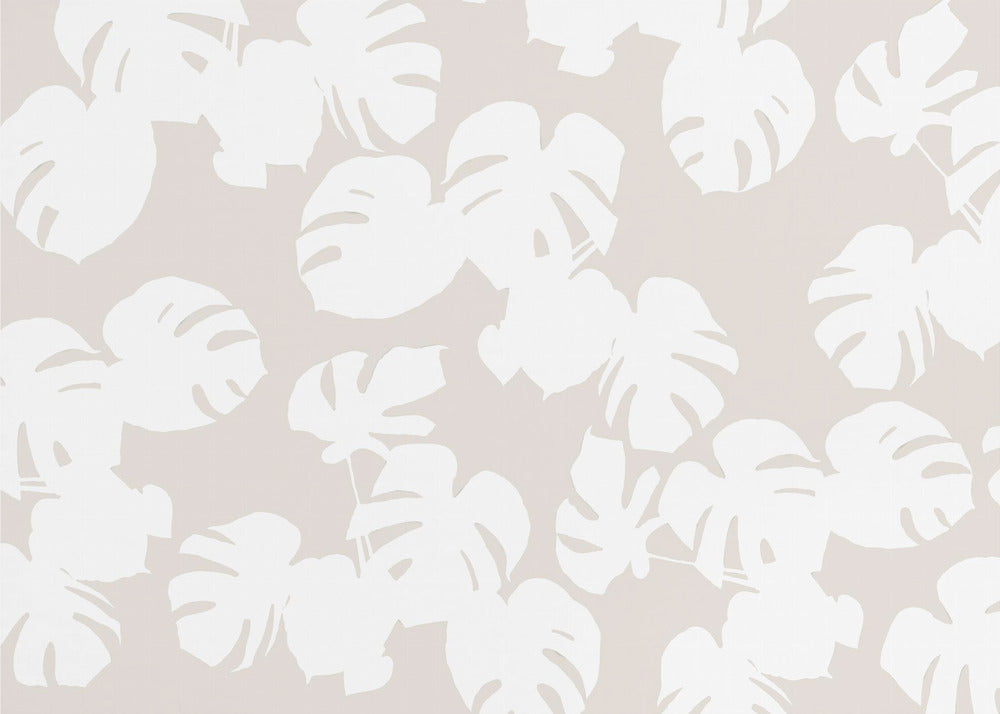 Monstera blade hvide | Fototapeter