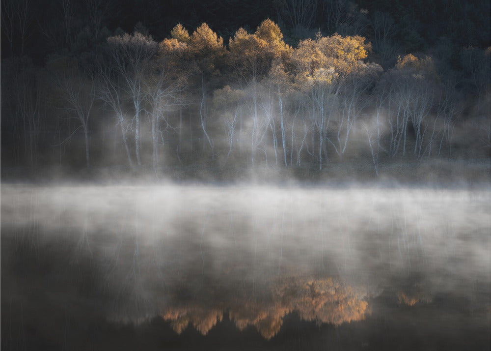 Vom spätherbstlichen Licht angelockt | Fototapeten