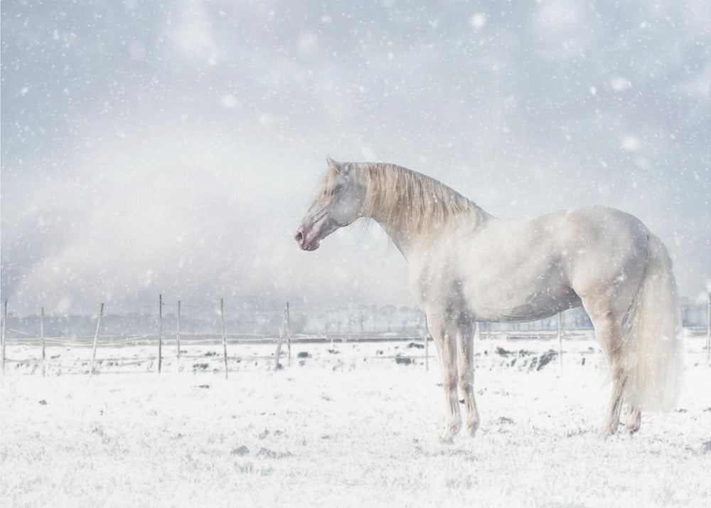 Låt det snöa... | Fototapet