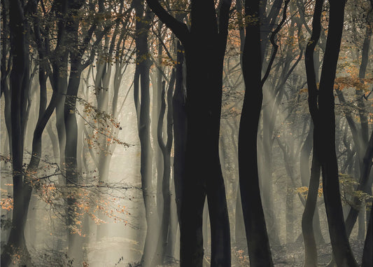 Speulderbos | Tapeter