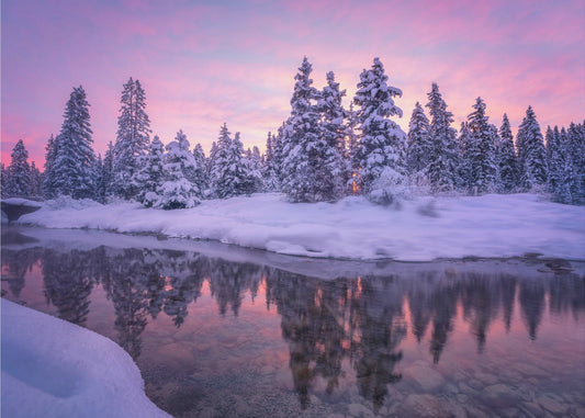 Skogsmorgon | Tapet