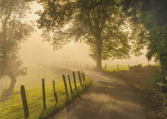 Morgonpromenad | Tapet