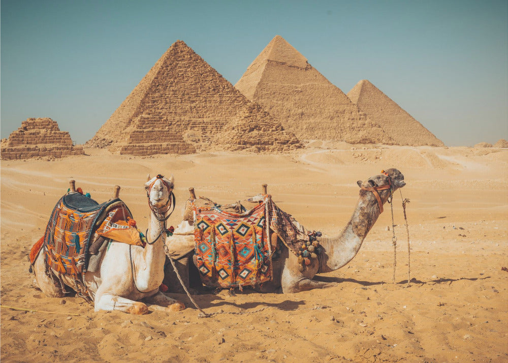 Visite des pyramides | Tableaux sur Toile