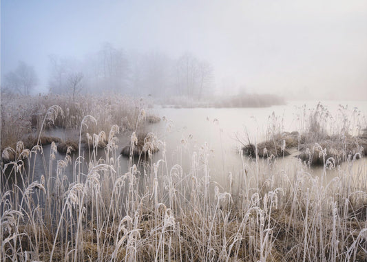 Vinter i Bayern | Tapeter
