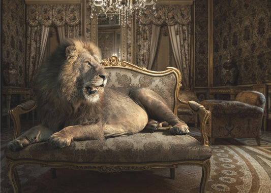 PalazzoLion | Lerretsbilder