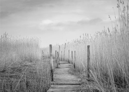 Plankbron | Tapet