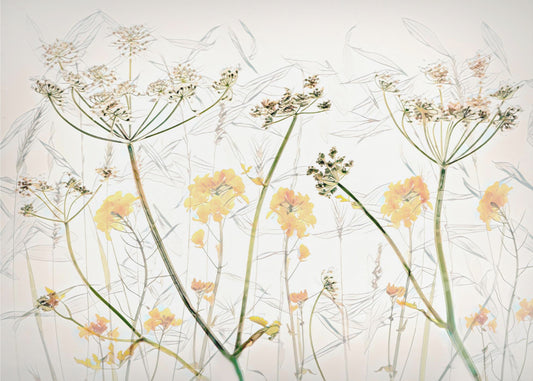 Spring flower Art | Wallpaper
