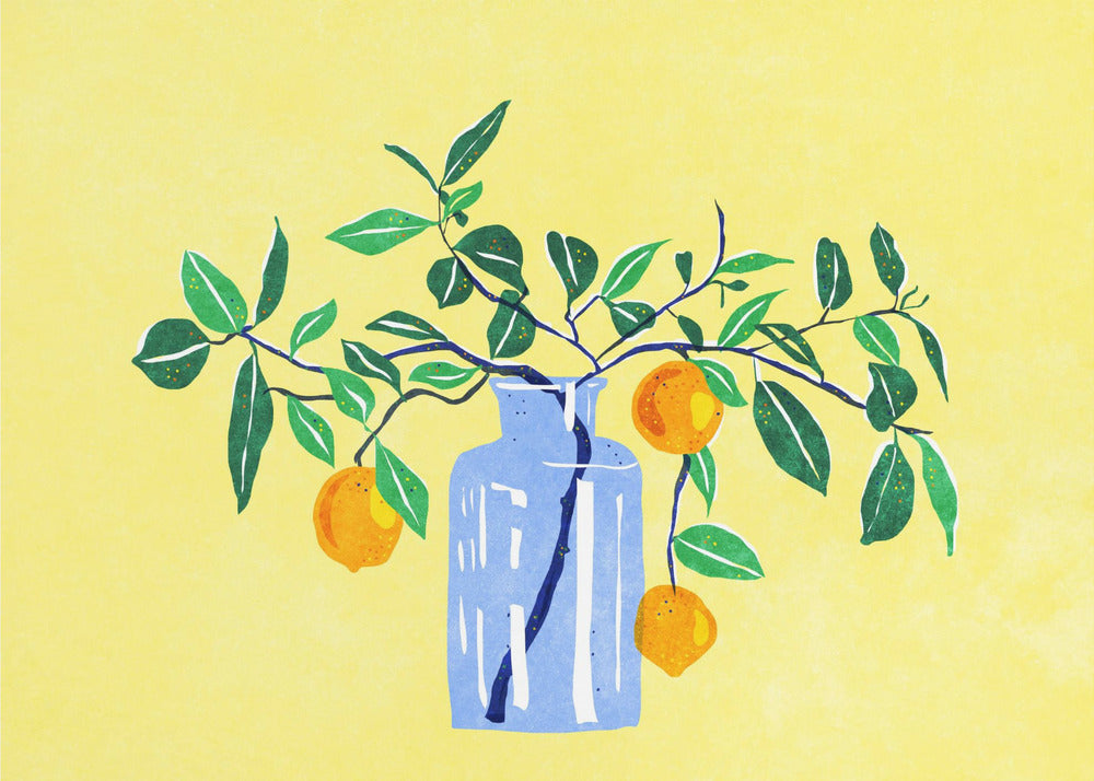 Orangetree | Wallpaper