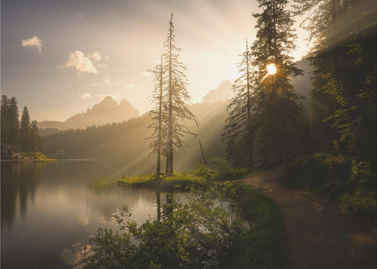 Morgonljus | Tapet