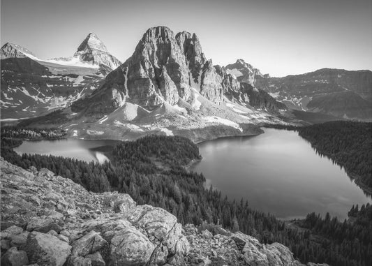 assiniboine | Canvas