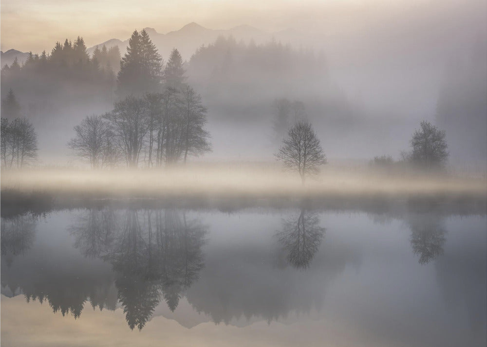 Mystic Morning III | Bakgrund