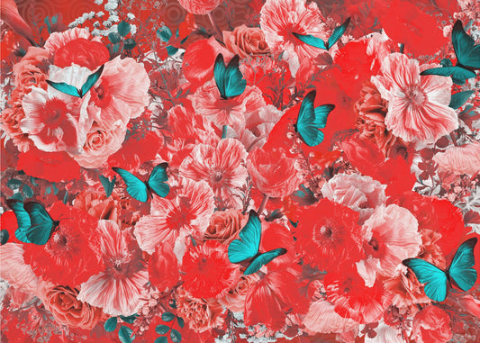 Sommarbris Raphael | Tapet
