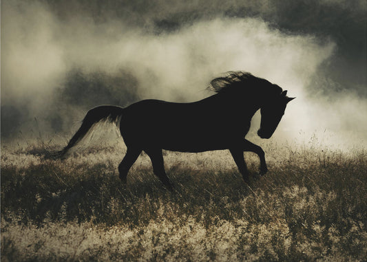 en novell om morgonglorian | Canvas