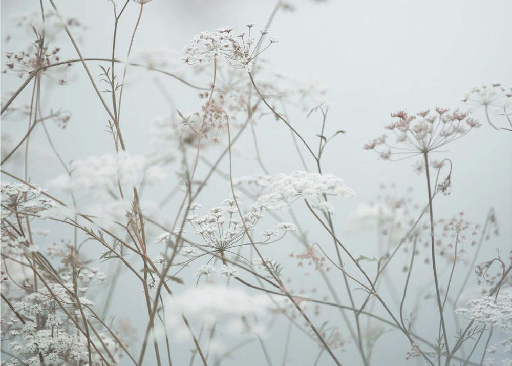 Sommarögonblick 12 | Canvas