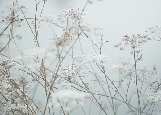 Sommarögonblick 12 | Canvas