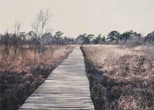 Naturreservat | Canvastavla