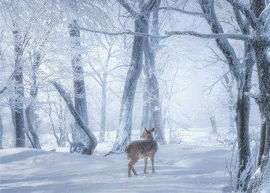 Sikahjorten i den snötäckta skogen | Canvastavla