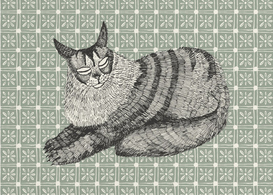 Maine Coon | Canvas