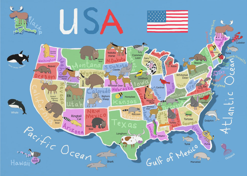 Illustrerad karta över Amerikas förenta stater av Carla Daly | Canvas