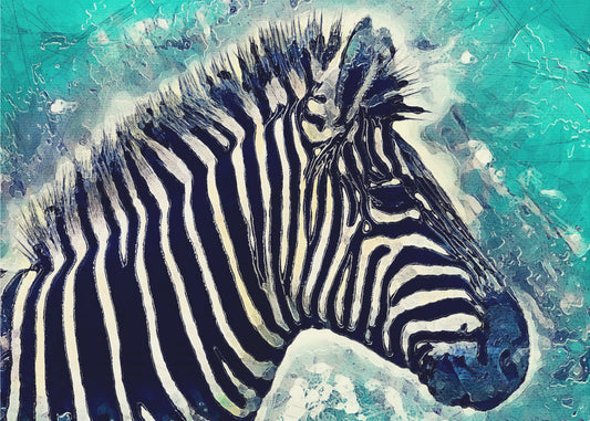 Djurzebra Akvarell Djurkonst Poster