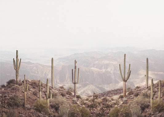 Arizonadalen | Canvastavla