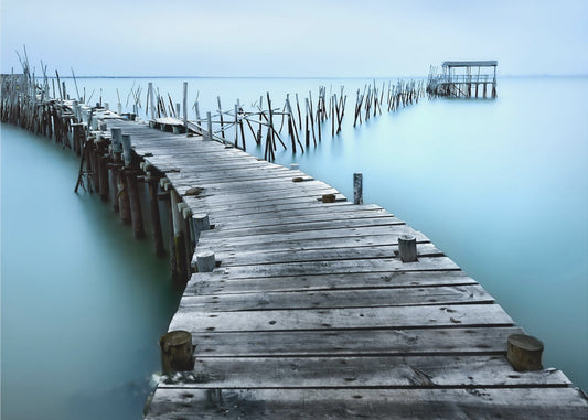 Carrasqueira II | Tapet