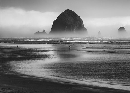 Cannon Beach | Affisch