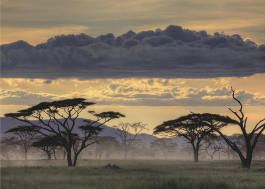 God kväll Tanzania | Bakgrund