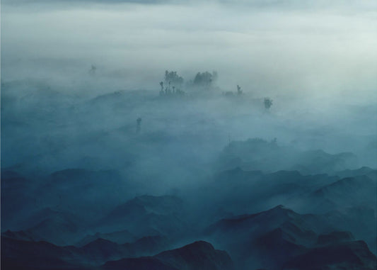 Dimmans land | Poster