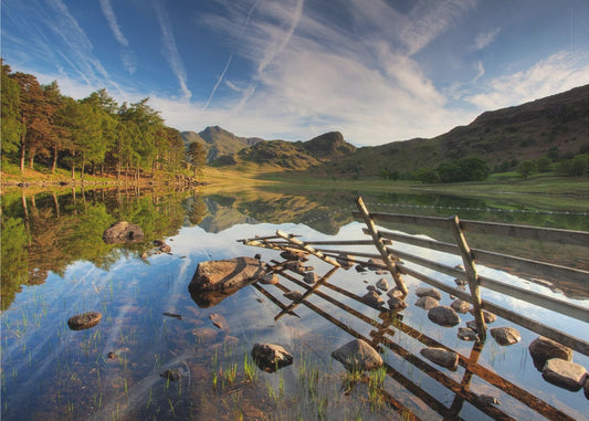 England | Tapeter