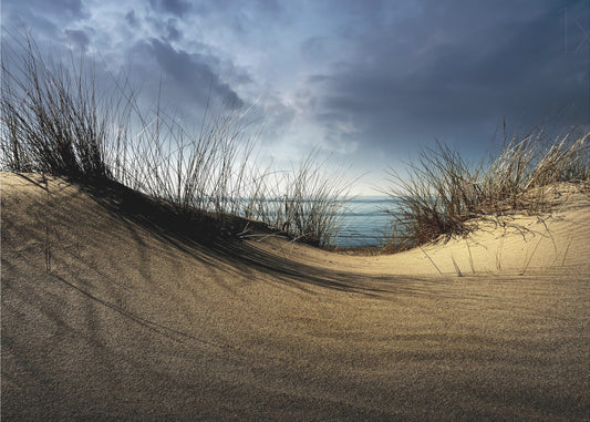 Dunes........... | Poster
