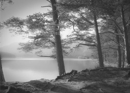 Loch an Eilein | Tapet