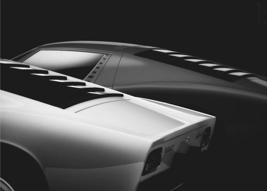 2 Miura | Lerretsbilder