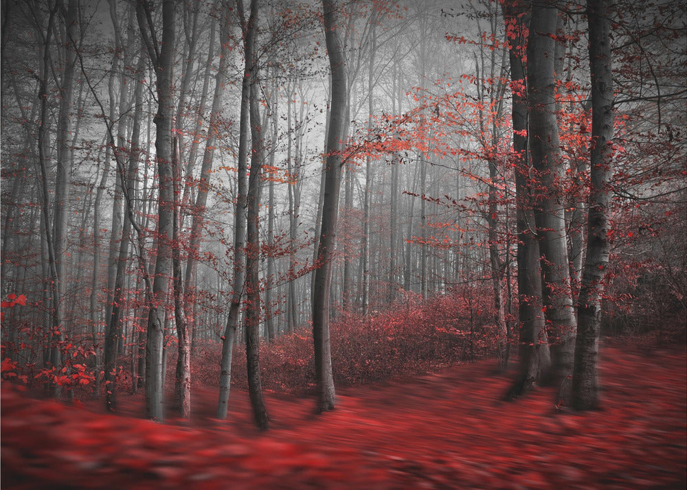 Fiume insanguinato | Carta da Parati Fotografica