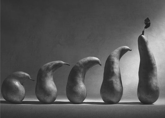 Die Entwicklung | Poster - Kunstdruck