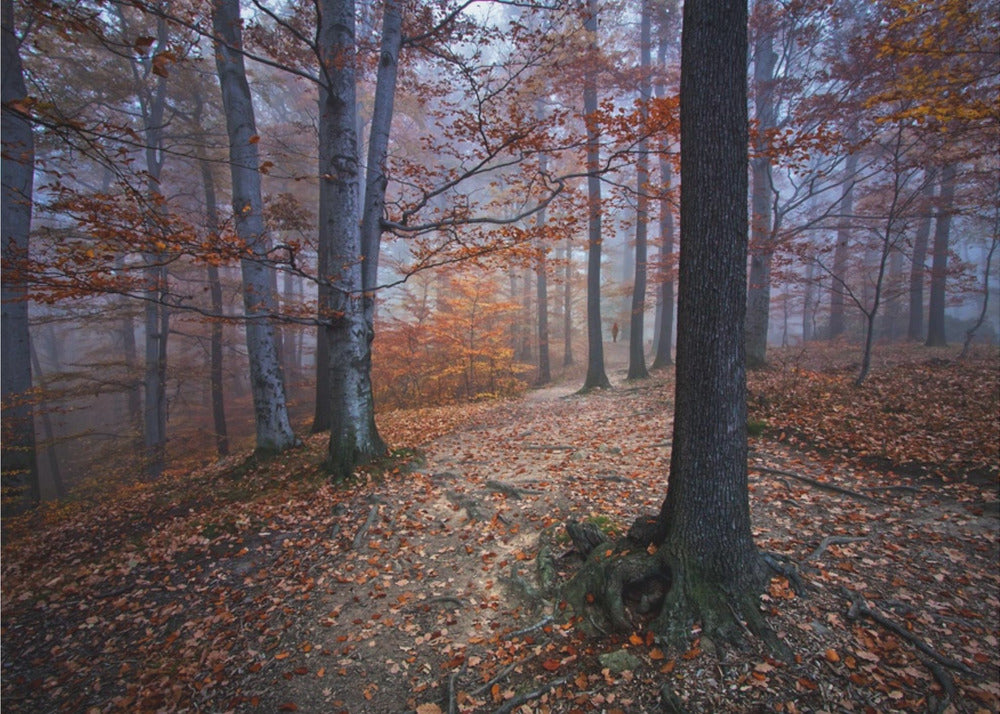 Mi sono perso, sono stato trovato | Carta da Parati Fotografica