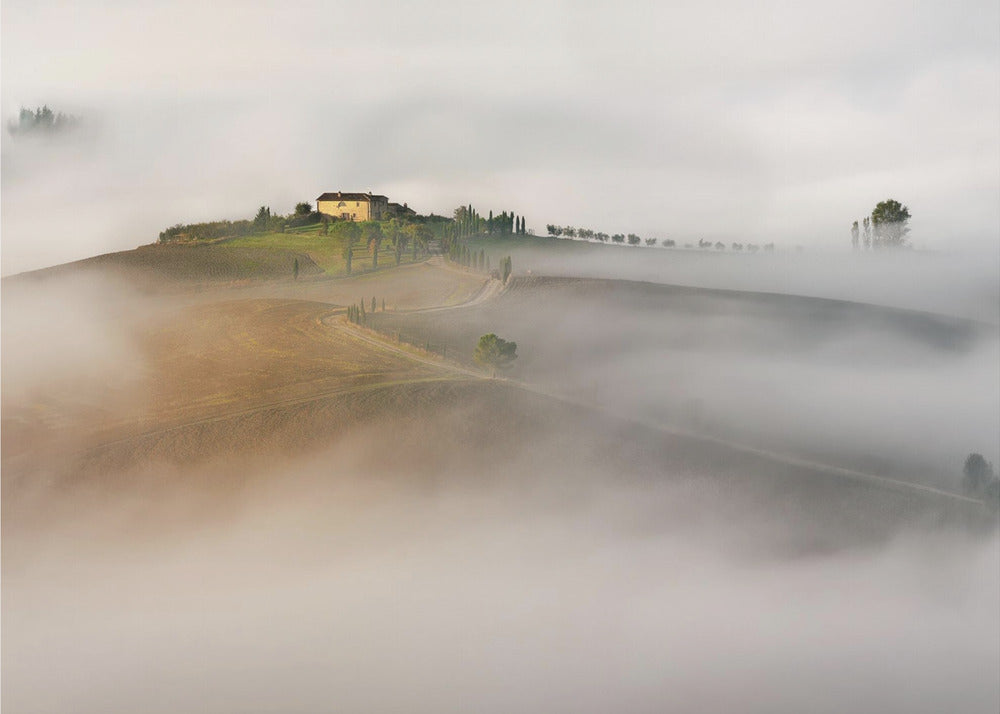 Senza titolo | Carta da Parati Fotografica