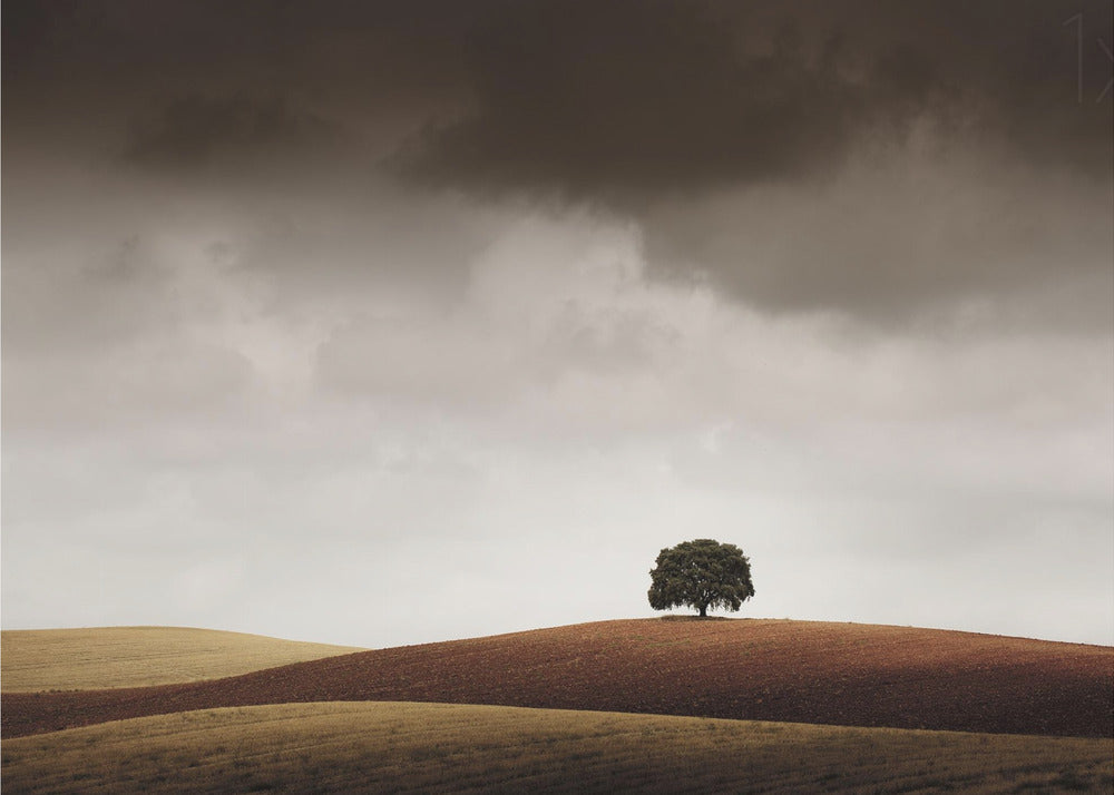 Ho dovuto fermarmi quando l'ho vista | Carta da Parati Fotografica