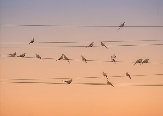 Musique de lumière | Papier Peint Photo