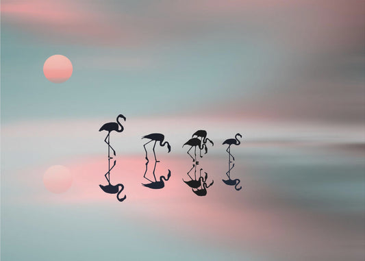 Familj flamingos. | Poster